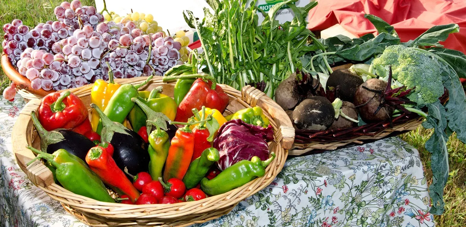 Photo de Marché d'été